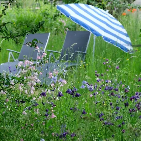 An Den Weiden Apartamento *